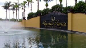 Activities Company & Consulting