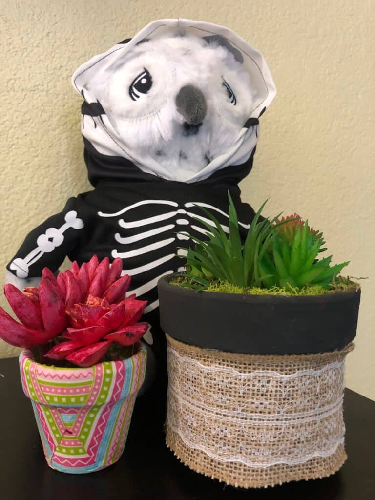 fabric plant pots- paradise activity company